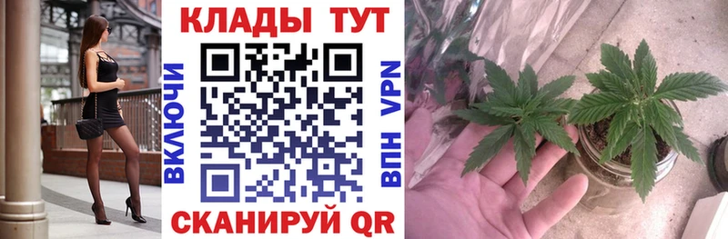 Купить наркотик аптеки Камень-на-Оби Гашиш  Alpha PVP  Меф мяу мяу 