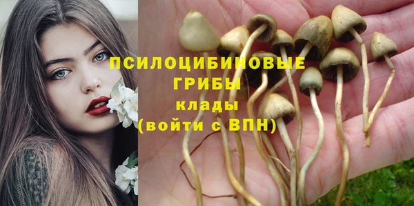 круглые Вяземский