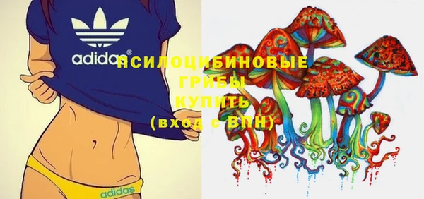 дурь Вязьма